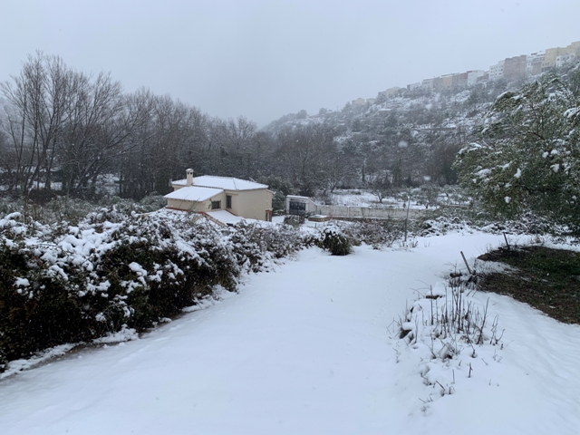 Entradero al paso del toro nevado. Temporal filomena (enero 2021)
